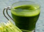 wheat_grass_cup (A)