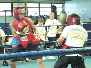Boxing Fighters