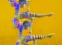 Cirque Contorsions