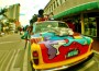 Coconut Grove Arts Festival
