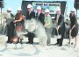 Pictured (l-r) are Miami Art Museum (MAM) director Thom Collins; Miami-Dade County Commission vice chairelect Audrey M. Edmonson, MAM Board of Trustees chair Aaron Podhurst, Miami-Dade County Mayor Carlos Alvarez, Miami-Dade County Commissioner Sally A. Heyman, Miami-Dade County manager George M. Burgess, and Herzog & de Meuron senior partner Christine Binswanger.