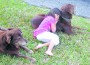 My granddaughter, Natalie, is pictured with her two friends, Cinnamon (left) and Bailey.