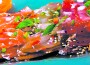 Below: Chef Rodriguez’ ceviche