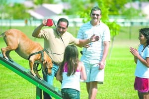 Dog Park 2