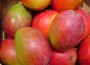 mango21