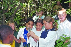NESTT Aquifers