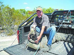 PeskyCritterGator