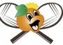 jr-orange-bowl-logo