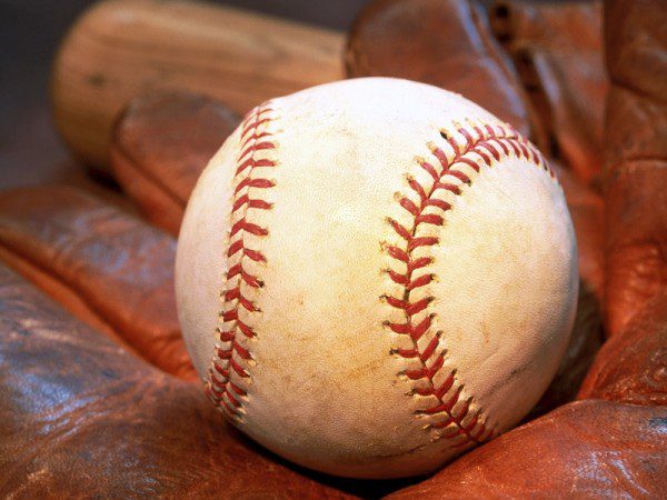 Howard Palmetto Baseball and Softball — sign up now Howard Palmetto Baseball and Softball — sign up now
