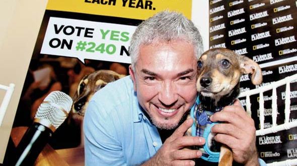 Dog’s ‘best friend’ joins in support of Pets’ Trust Dog’s ‘best friend’ joins in support of Pets’ Trust