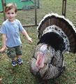 Happy Thanksgiving! Happy Thanksgiving!