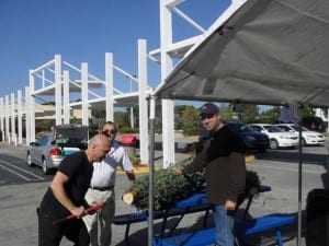 Tony Samito (left), Luis Ochoa and Father Israel Mago help trim tree the morning after Thanksgiving at Doral Charter High School.