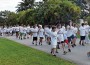 wp-walk-featured