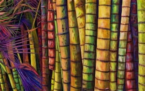 Gallery14EmilyHeinzelArecaTrunks3-42x68