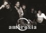 ambrosia (2)