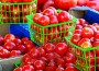 Passport Office, Farmers Market open every Saturday through Mar. 23