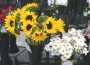 The shop features both fresh flowers and fancy potted plants.