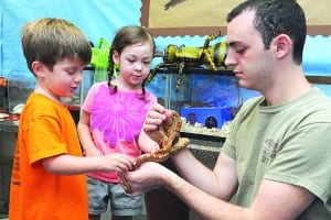 Follow the yellow brick road to JCC summer camp