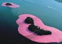 A Tribute in Pink is Remembered