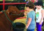 Agricultural and Cattle Show provides a treat for all ages