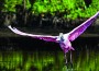 Homestead named Gateway to Everglades, Biscayne NP