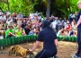 Pinecrest Gardens to celebrate Earth Day on April 14