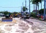 Businesses struggle with Old Cutler Road project