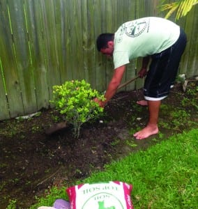 Palmer Trinity project shows planting tree easy as 1, 2, 3