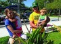 Palmetto Bay marks Earth Week with celebrations