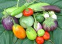 eggplant_custom-9a04793e0955f4497a0e8303c12dd46d04e5a3f4-s6-c30