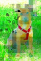 This Dog’s for You – Bombin This Dog’s for You – Bombin