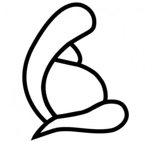 logo-blk-outline-02