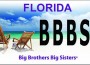 Big Brothers Big Sisters Association of Florida seeking specialty plate