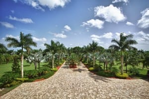 Driveway East Elevated