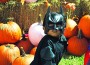 KRMC to host Pumpkin Patch Party and Teddy Bear Clinic