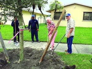 Town of Cutler Bay plants its 2000th Live Oak tree