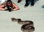 Students take their best shots in Zoolens photo competition