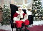 Dolphin Mall Santa Paws