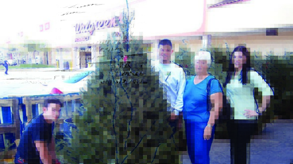Celebrating holiday season with perfect Christmas tree Celebrating holiday season with perfect Christmas tree