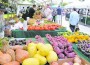 Food & Fun at Farmer’s Market