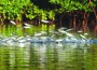Bay’s wild western shoreline featured in BNP photo exhibit