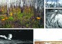 Photographer Danielle Austen’s work on display at Everglades National Park
