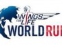 wings small