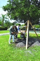 City of Coral Gables celebrates Arbor Day City of Coral Gables celebrates Arbor Day