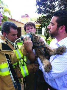 Coral Gables firefighters save pets from house fire