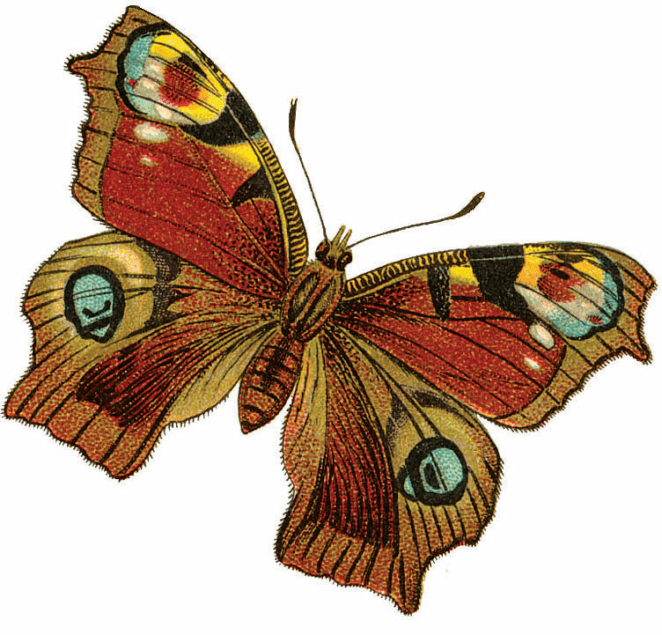 Image Result For Pinecrest Gardens Art