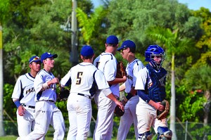 Palmer Trinity Falcons