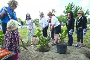 Women’s International Zionist Organization spearheads tree plantings at Haulover