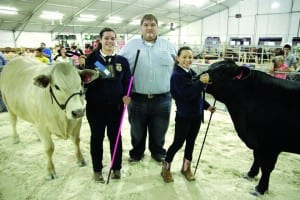 Fair awards reflect students’ hard work, pride in agriculture